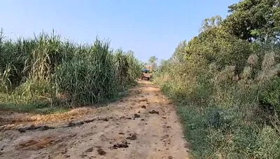 Mozamabad-Jwalagarh, Uttar Pradesh, India preview 3