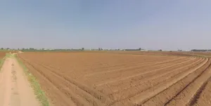 Plasva, Gujarat 362015, India preview 2