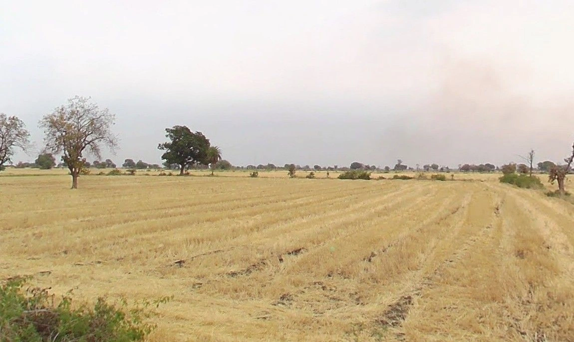 Kotwada, Madhya Pradesh 450001, India