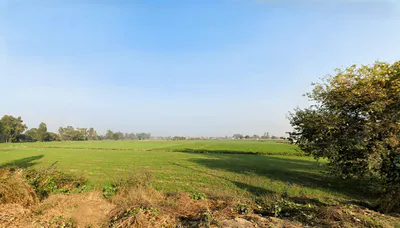 Nilokheri, Haryana 132117, India preview 3