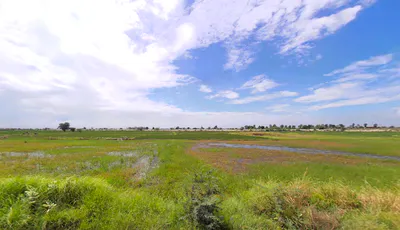 54CM+5MJ, K.K.Pur, Khalilpur, Haryana 122103, India preview 3