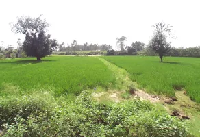 Kurdi Khera, Uttar Pradesh 247129, India preview 3