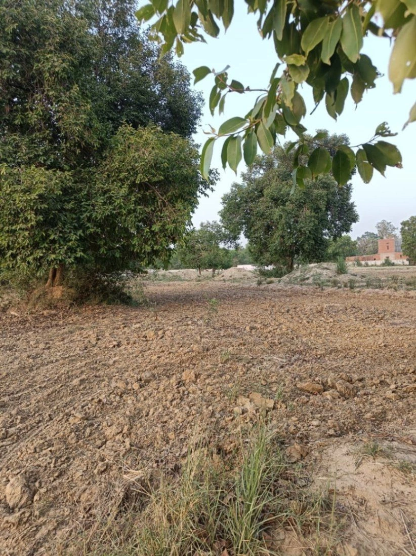 Tentigaon, Uttar Pradesh, India