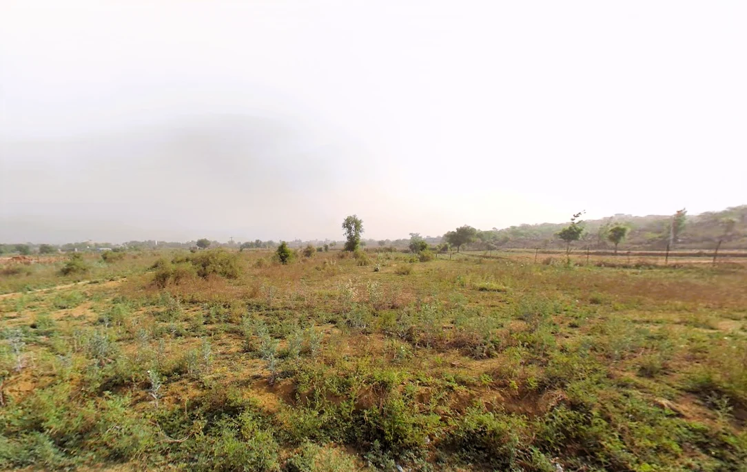 Aya Nagar, New Delhi, Delhi, India