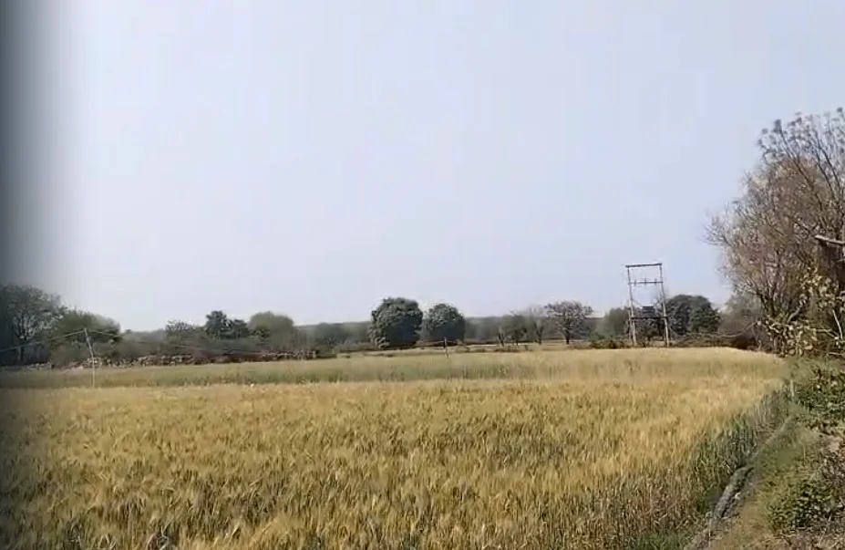 Dabhaura, Madhya Pradesh 486556, India preview 3