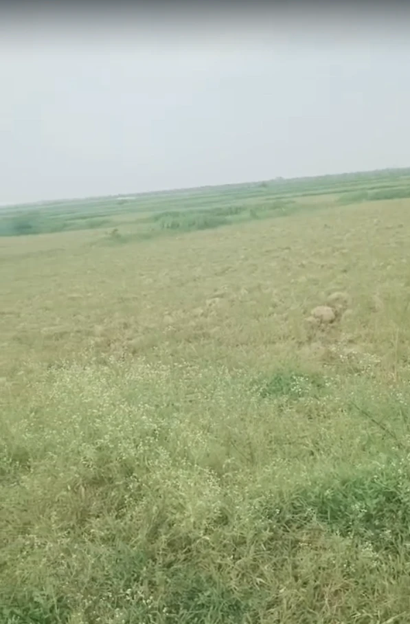 34C2+M6X, Manikpur, Pata, Uttar Pradesh 210208, India