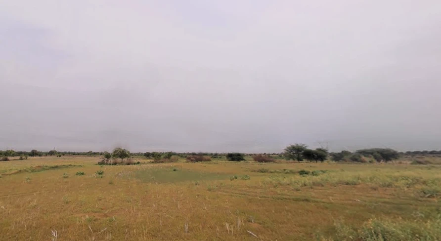 Bapora, Haryana 127111, India