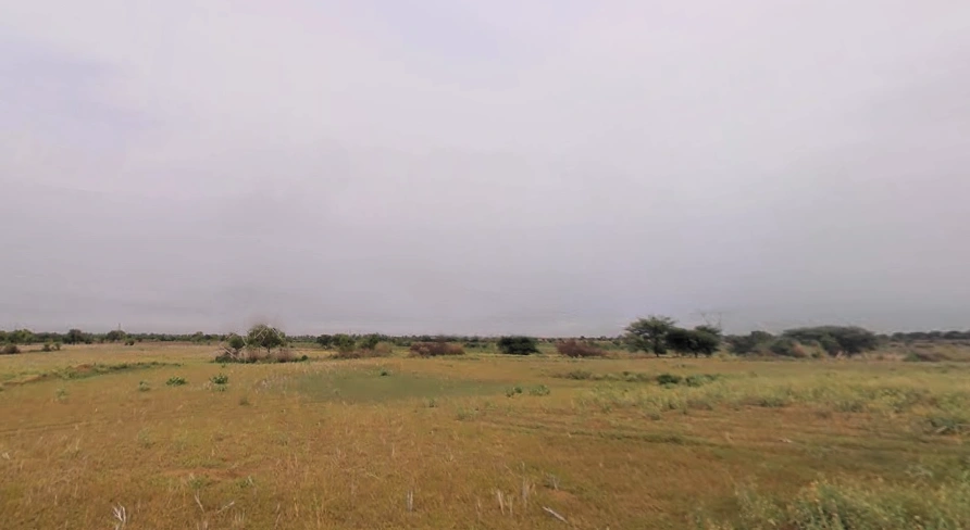 Bapora, Haryana 127111, India