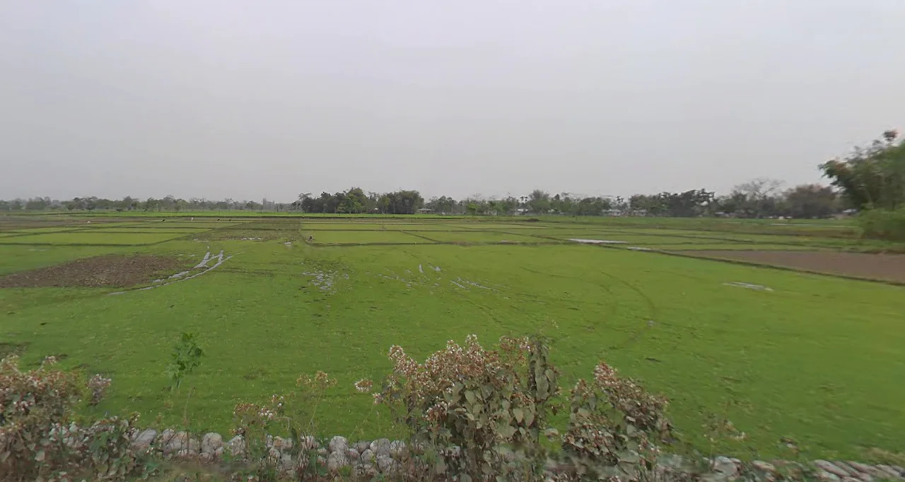 Kranti, West Bengal 735218, India preview 2