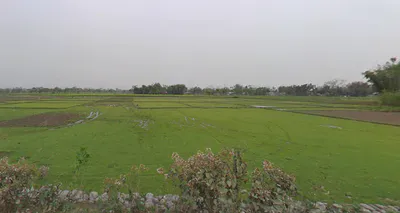 Kranti, West Bengal 735218, India preview 2