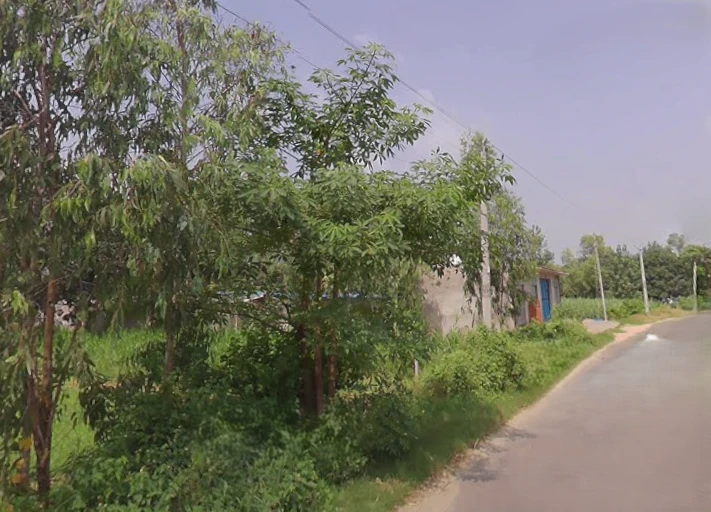 Behsuma, Uttar Pradesh 250401, India