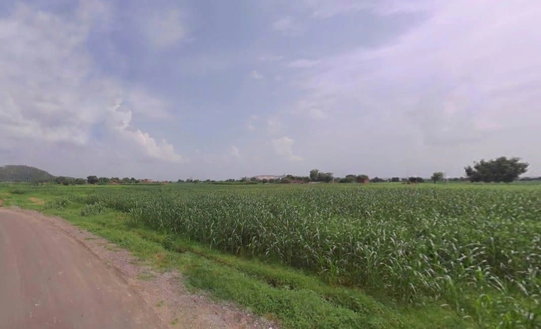 Papra, Rajasthan, India preview 2