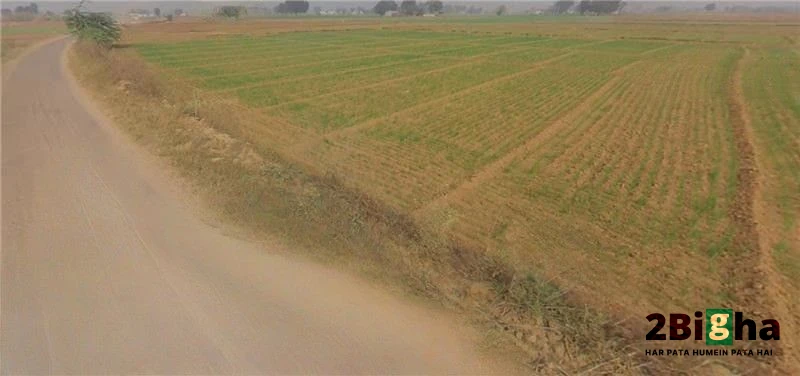 Gelpur, Rajasthan 301707, India