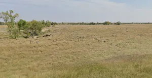 Sai mandir, Bistan, Madhya Pradesh 451441, India preview 3