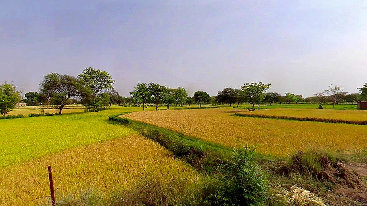 Daganiya, Chhattisgarh, India