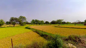 Daganiya, Chhattisgarh, India preview 2