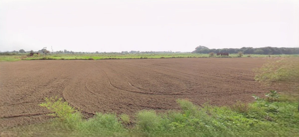 Jhajjar, Haryana 124103, India