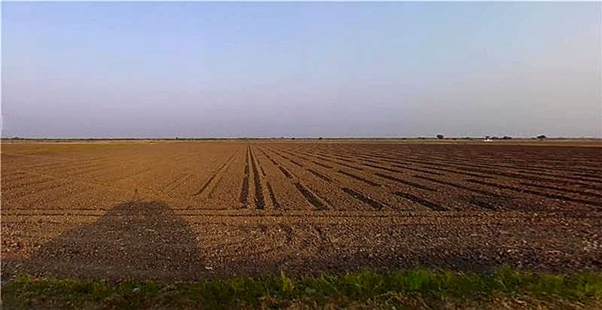 Virpur, Gujarat 360380, India