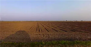 Virpur, Gujarat 360380, India preview 2