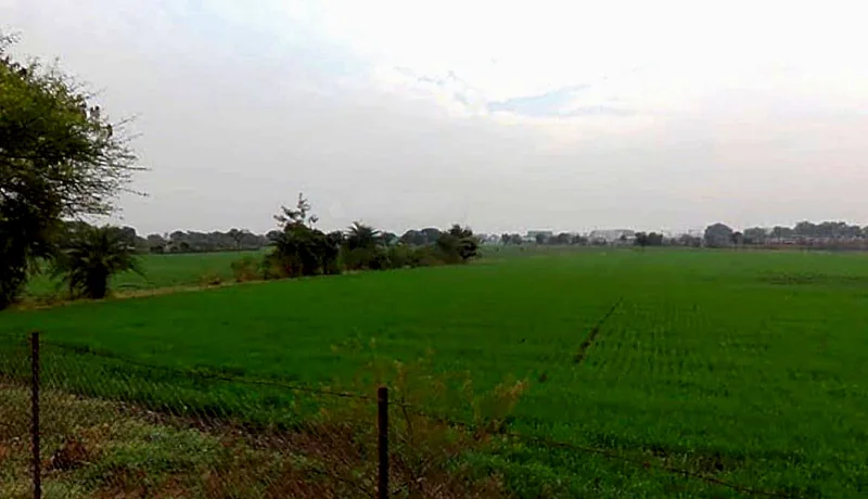 Gothada, Madhya Pradesh, India preview 2