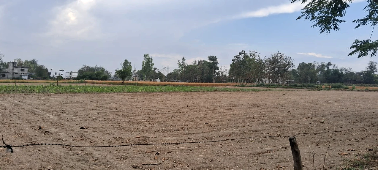Tarana, Madhya Pradesh 456665, India
