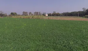 Atora, Uttar Pradesh 250401, India preview 3