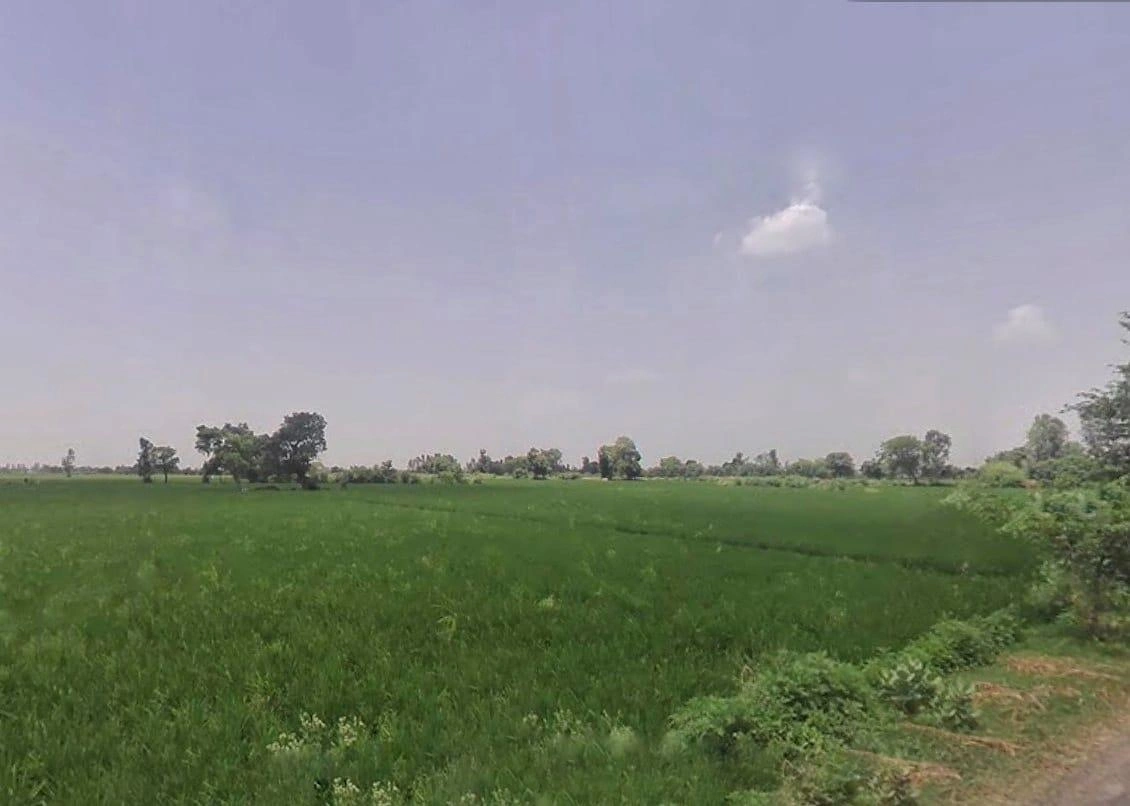 RCX5+2RQ, Kosi Kalan, Uttar Pradesh 281403, India