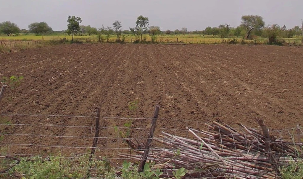 Sankara, Chhattisgarh 493221, India