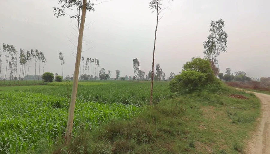 Behsuma, Uttar Pradesh 250401, India
