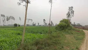 Behsuma, Uttar Pradesh 250401, India preview 2