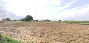 Simrol, Madhya Pradesh 453552, India preview 2