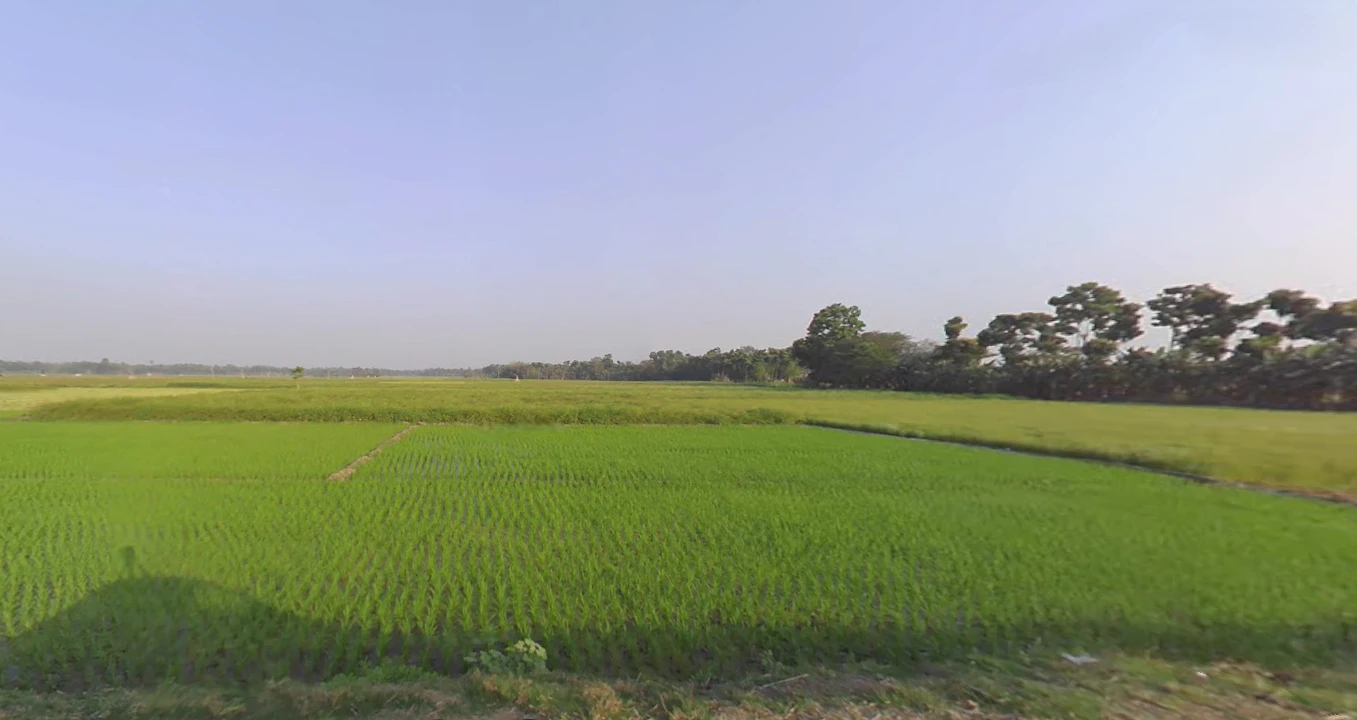 Street 634, more, near akhanka, AA IIC, Newtown, Kolkata, New Town, West Bengal 700161, India