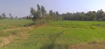 Kanth, Uttar Pradesh 244501, India preview 3