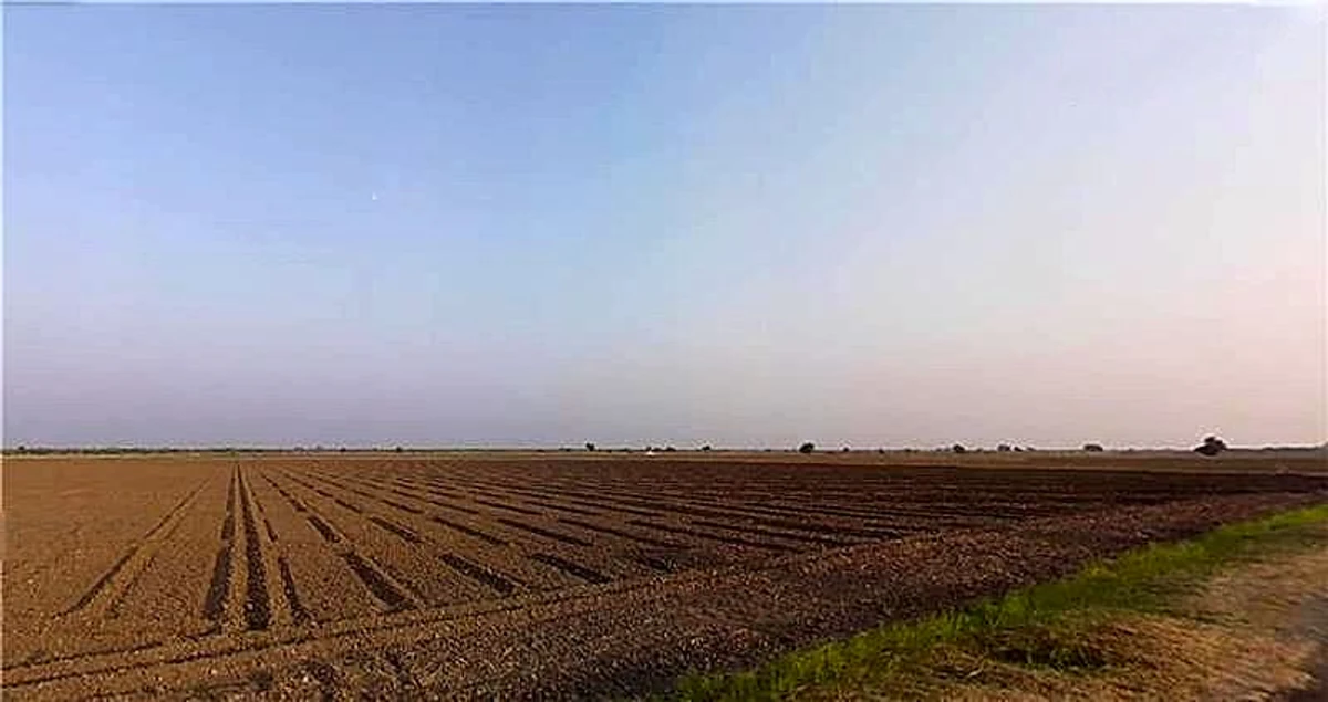 Virpur, Gujarat 360380, India