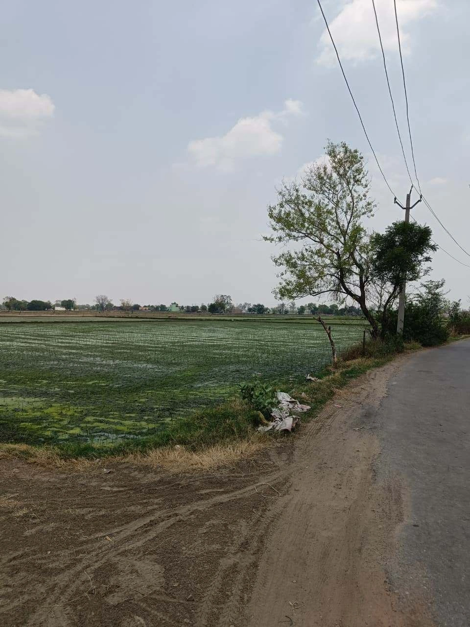 Gharwari, Rajasthan 321201, India