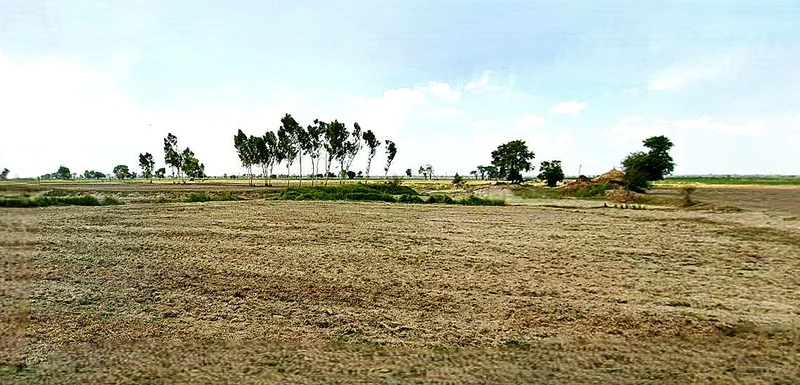 Anupgarh, Rajasthan 335701, India preview 3