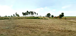 Anupgarh, Rajasthan 335701, India preview 3