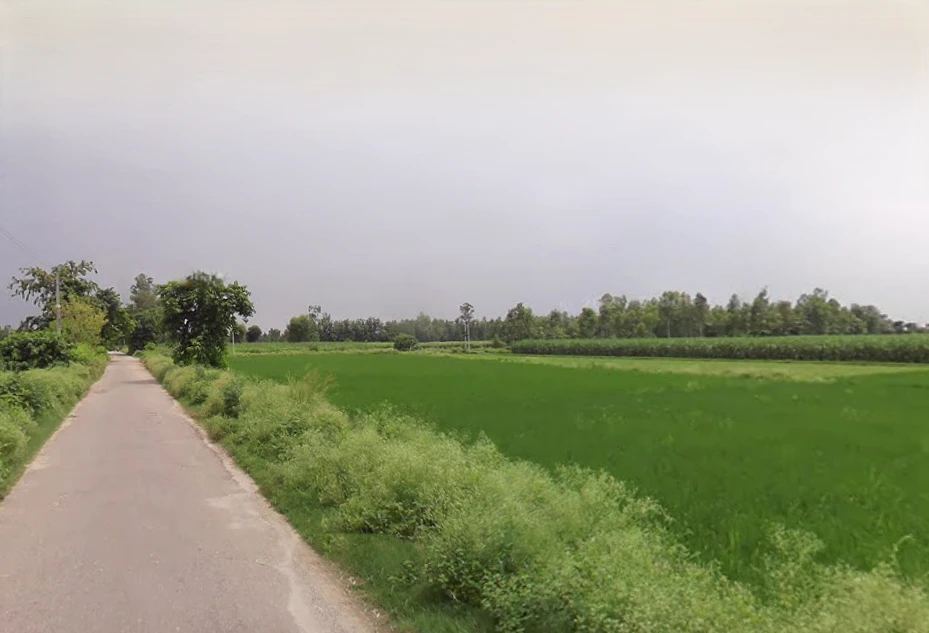 Lalpur Hamir, Uttar Pradesh 244001, India