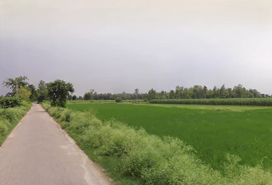 Lalpur Hamir, Uttar Pradesh 244001, India