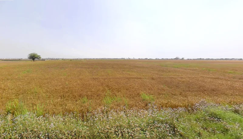 Yakubpur Stand, SH -15, Gurugram Rd, Jhajjar, Yakubpur, Haryana 124515, India preview 3