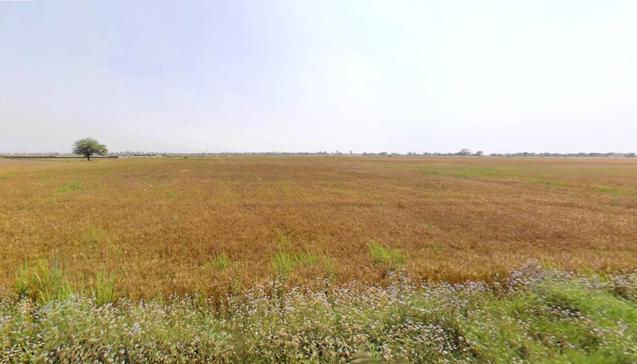 Yakubpur Stand, SH -15, Gurugram Rd, Jhajjar, Yakubpur, Haryana 124515, India