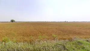 Yakubpur Stand, SH -15, Gurugram Rd, Jhajjar, Yakubpur, Haryana 124515, India preview 3