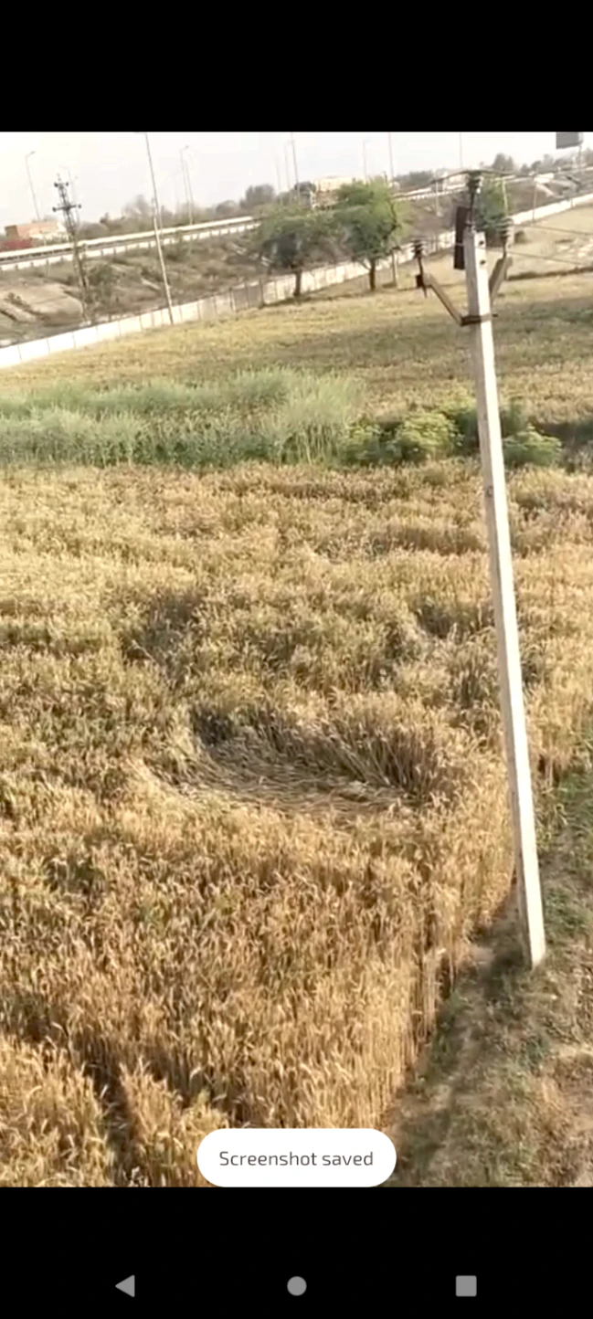 Seetal, Rajasthan 301021, India