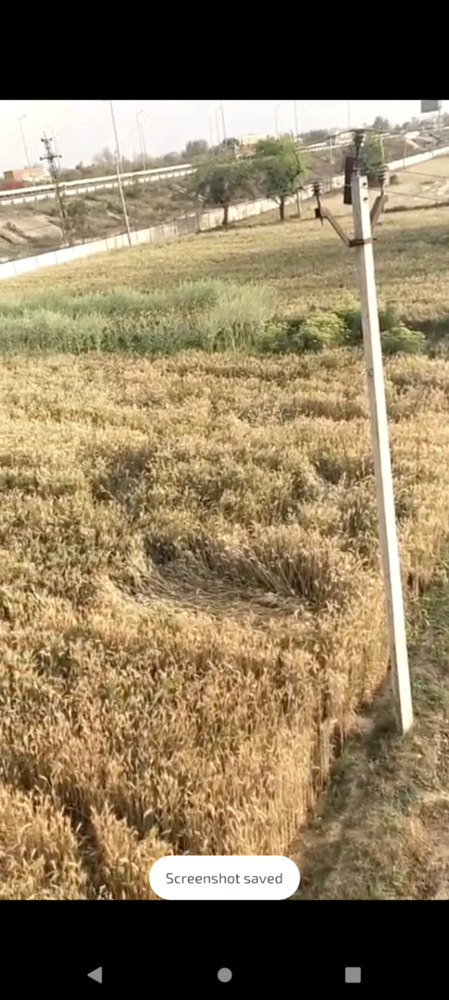 Seetal, Rajasthan 301021, India