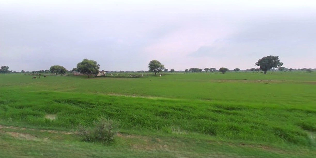 Sampla, Haryana 124501, India preview 3