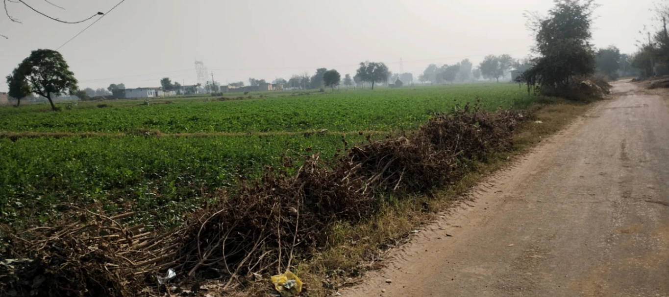 W56R+2W4, Sikandarpur Machhua, Uttar Pradesh 202125, India