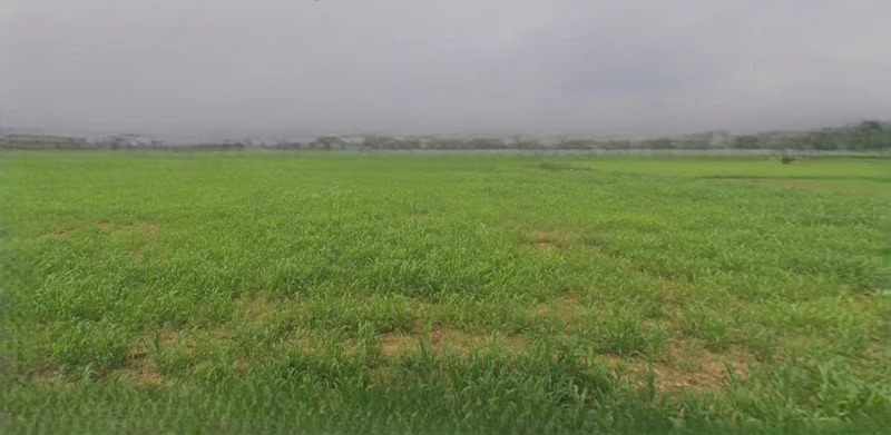 Mandsaur, Madhya Pradesh, India preview 3