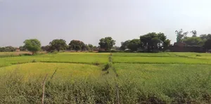 Prayagraj, Uttar Pradesh, India preview 2