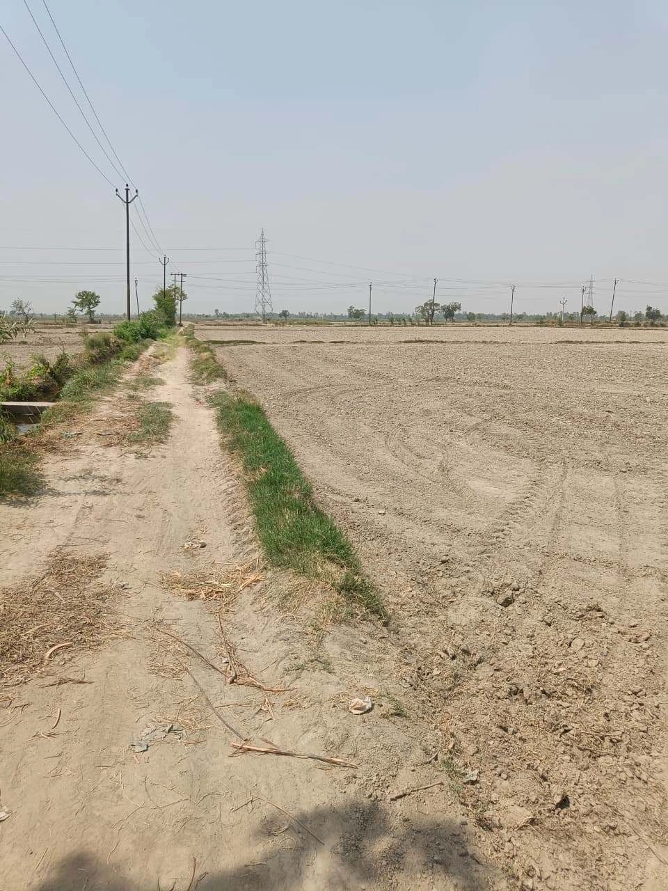 Sahar, Uttar Pradesh, India