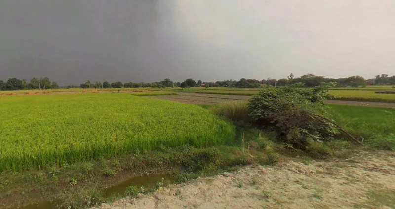 Barnagar, Madhya Pradesh 456771, India preview 3